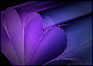 Coloured Curves
